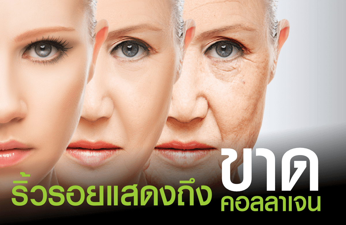 collagen-b