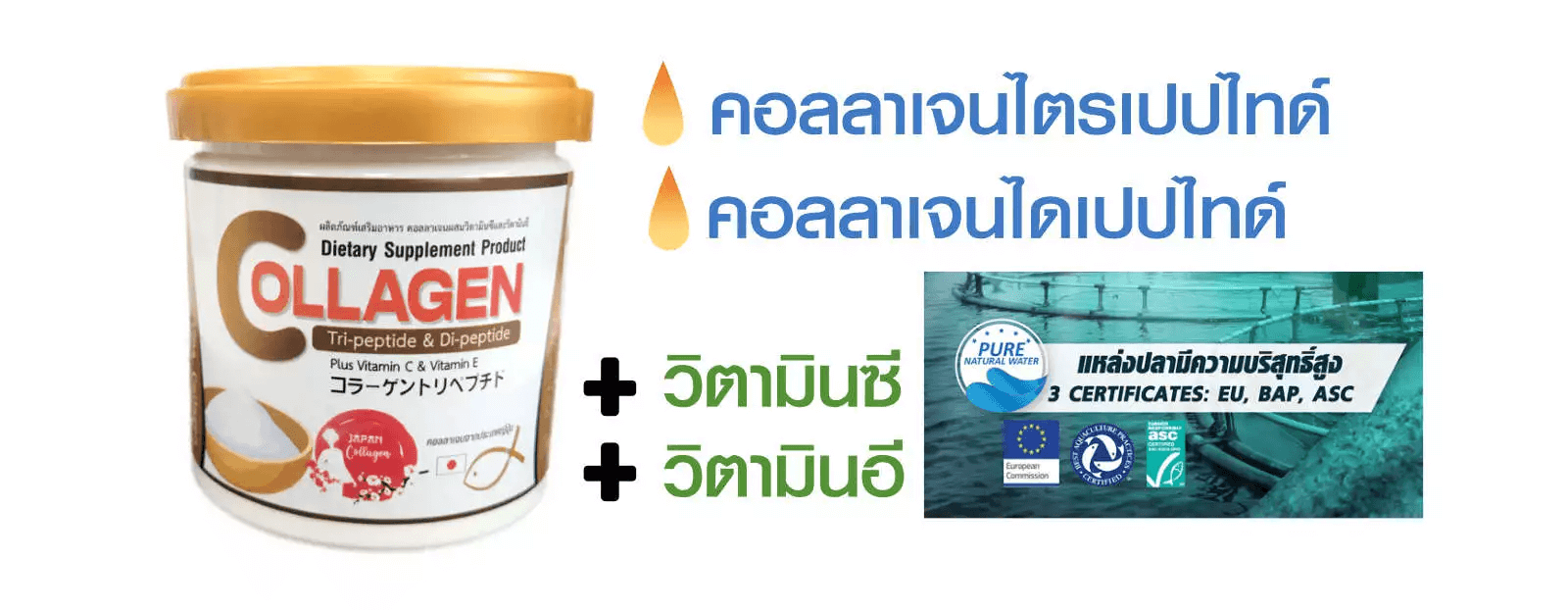 collagen-b